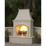 American Fyre Designs Phoenix Fireplace