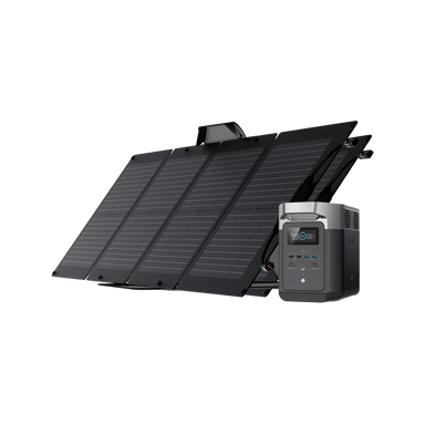 EcoFlow EcoFlow DELTA 2 Solar Generator (PV110W) Bundle 2*110W + DELTA 2