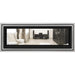 Napoleon Vector 50 See-Through Linear Direct-Vent Gas Fireplace - LV50N2-2 COLOR AND DESIGN OPTION