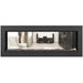 Napoleon Vector 50 See-Through Linear Direct-Vent Gas Fireplace - LV50N2-2 COLOR AND DESIGN OPTION