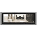 Napoleon Vector 50 See-Through Linear Direct-Vent Gas Fireplace - LV50N2-2 COLOR AND DESIGN OPTION