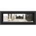 Napoleon Vector 50 See-Through Linear Direct-Vent Gas Fireplace - LV50N2-2 COLOR AND DESIGN OPTION