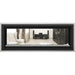 Napoleon Vector 50 See-Through Linear Direct-Vent Gas Fireplace - LV50N2-2 COLOR AND DESIGN OPTION