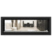 Napoleon Vector 50 See-Through Linear Direct-Vent Gas Fireplace - LV50N2-2 COLOR AND DESIGN OPTION