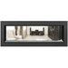 Napoleon Vector 50 See-Through Linear Direct-Vent Gas Fireplace - LV50N2-2 COLOR AND DESIGN OPTION