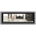 Napoleon Vector 50 See-Through Linear Direct-Vent Gas Fireplace - LV50N2-2 COLOR AND DESIGN OPTION