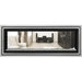 Napoleon Vector 50 See-Through Linear Direct-Vent Gas Fireplace - LV50N2-2 COLOR AND DESIGN OPTION