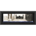 Napoleon Vector 50 See-Through Linear Direct-Vent Gas Fireplace - LV50N2-2 COLOR AND DESIGN OPTION