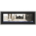 Napoleon Vector 50 See-Through Linear Direct-Vent Gas Fireplace - LV50N2-2 COLOR AND DESIGN OPTION