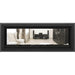 Napoleon Vector 50 See-Through Linear Direct-Vent Gas Fireplace - LV50N2-2 COLOR AND DESIGN OPTION