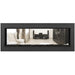 Napoleon Vector 50 See-Through Linear Direct-Vent Gas Fireplace - LV50N2-2 COLOR AND DESIGN OPTION