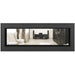 Napoleon Vector 50 See-Through Linear Direct-Vent Gas Fireplace - LV50N2-2 COLOR AND DESIGN OPTION